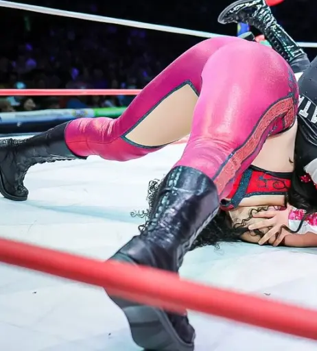 Image 10311100 from Women of Professional Wrestling