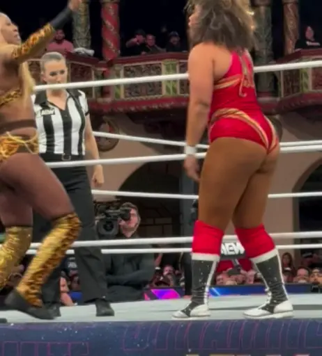 Image 10311133 from Women of Professional Wrestling