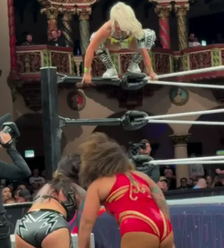 Image 10311132 from Women of Professional Wrestling