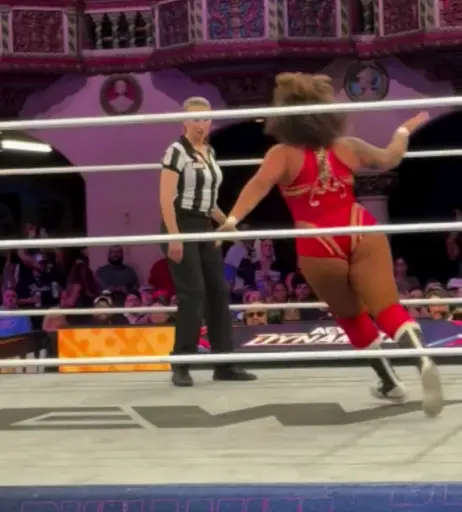 Image 10311137 from Women of Professional Wrestling