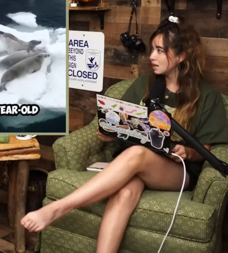 Image 10311166 from Mayahiga | maya