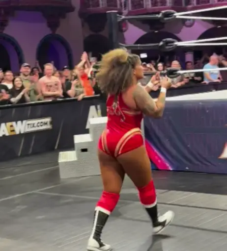 Image 10311141 from Women of Professional Wrestling
