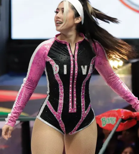 Image 10311088 from Women of Professional Wrestling