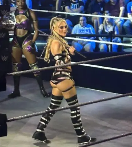 Image 10311218 from Karmen Petrovic - WWE NXT