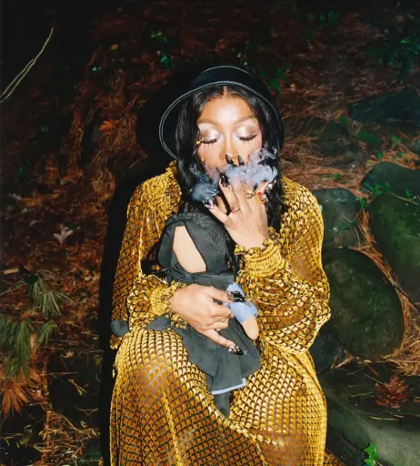 Image 10311240 from SZA | Solana Rowe