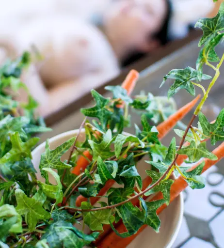 Image 10323773 from Marina Mui / marinamuimui