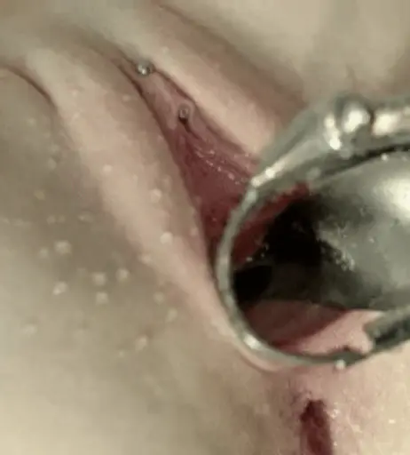 Image 10329481 from Disciples of Desire