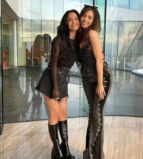 Image 1033159 from Valkyrae