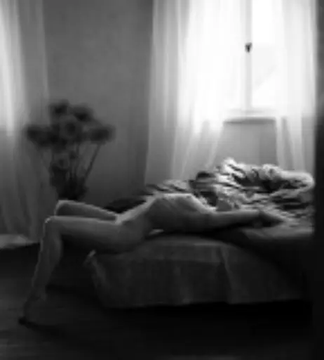 Image 10332370 from Sophie La Sage