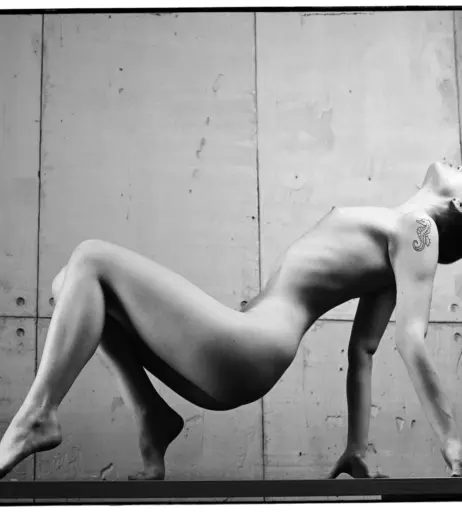 Image 10308020 from Alice Li