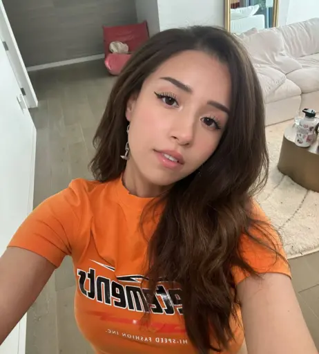 Image 1025701 from Pokimane