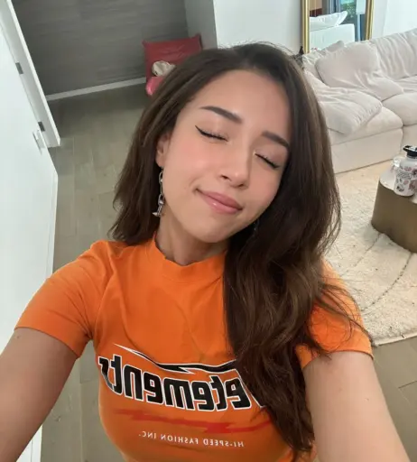 Image 1025735 from Pokimane