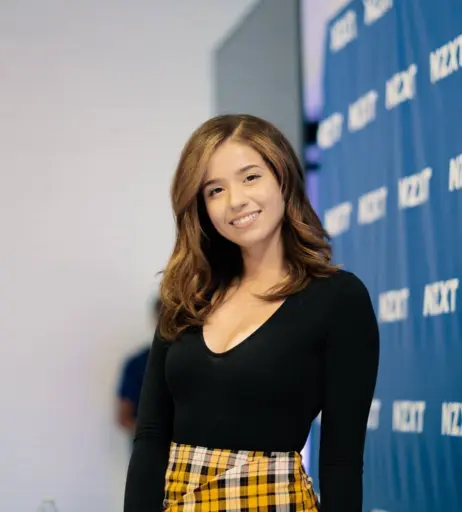 Image 1025096 from Pokimane