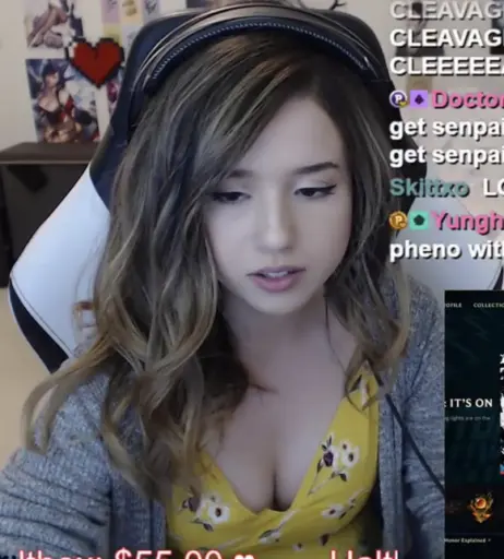 Image 1025200 from Pokimane