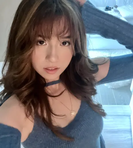 Image 1026627 from Pokimane