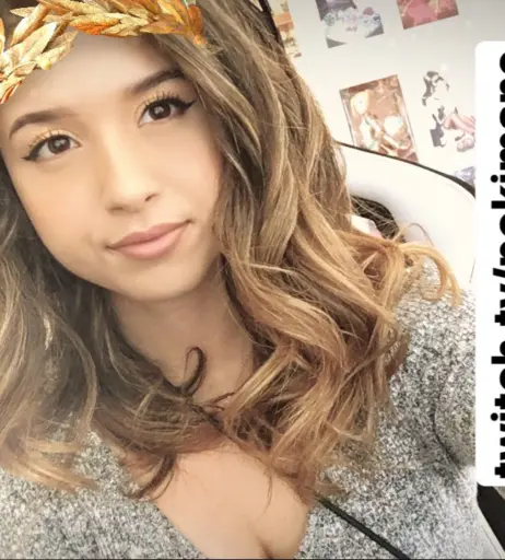 Image 1024806 from Pokimane