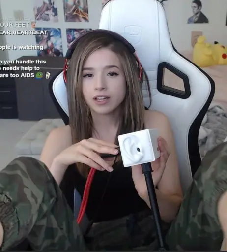 Image 1021512 from Pokimane