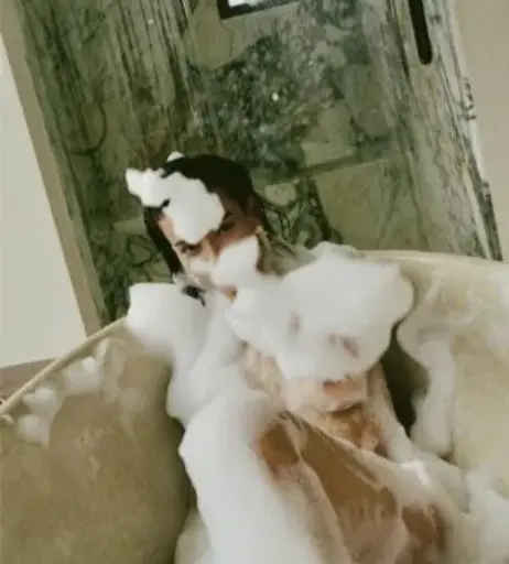 Image 10227725 from Kelly Gale