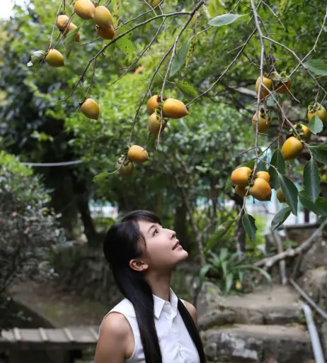 Image 10151330 from 川崎あや - Kawasaki Aya