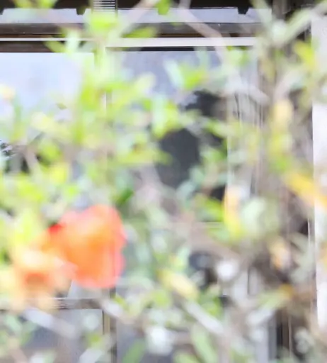 Image 10151334 from 川崎あや - Kawasaki Aya