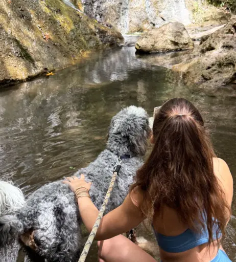 Image 10173720 from chloeparker6277 / bunnybunny924 / chloe.parkerrrr