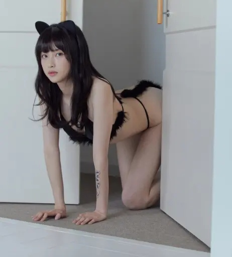 Image 10144306 from Leehee Express