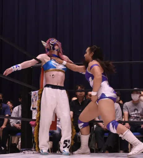 Image 10147569 from Women of Joshi Puroresu