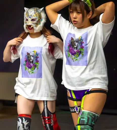 Image 10147545 from Women of Joshi Puroresu