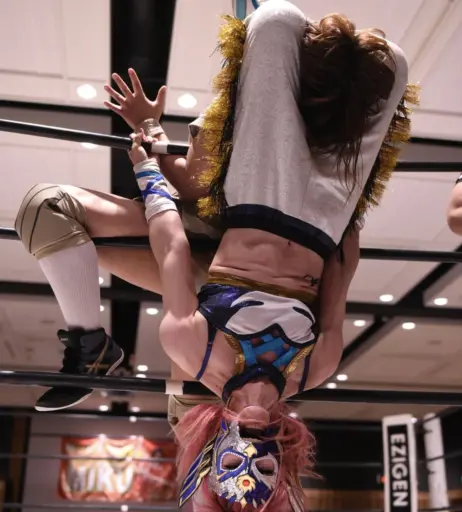 Image 10147570 from Women of Joshi Puroresu