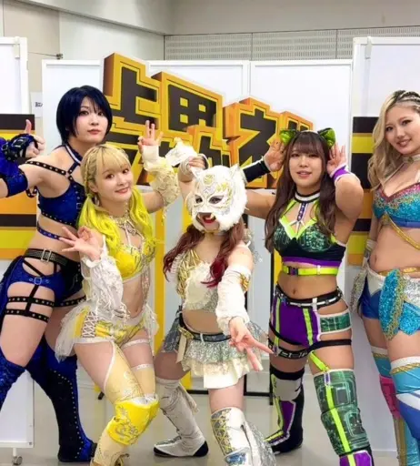 Image 10147326 from Women of Joshi Puroresu