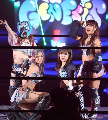 Image 10147319 from Women of Joshi Puroresu