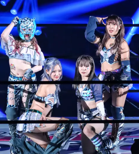 Image 10147332 from Women of Joshi Puroresu