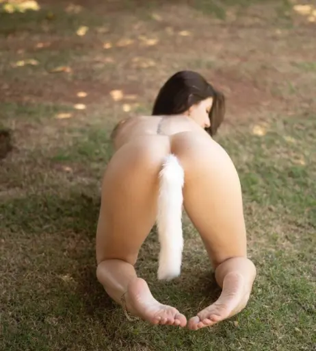 Image 10116537 from Ercilia Micarelli