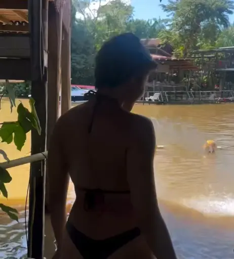 Image 10128120 from Carolina Oliveira