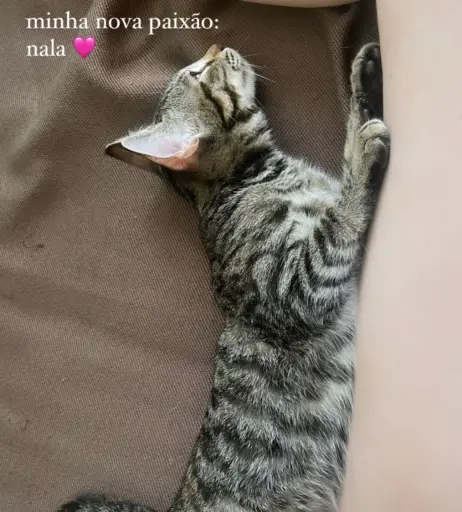 Image 10125677 from Duda Matte