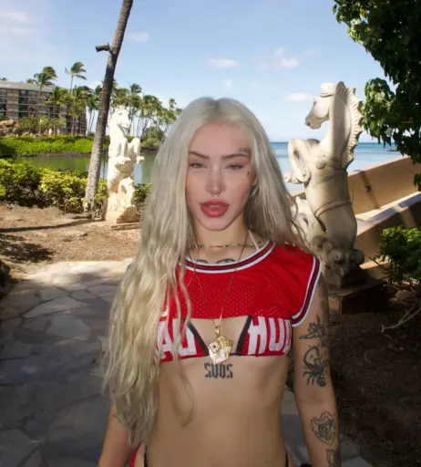 Image 10127675 from Anaju Mendes