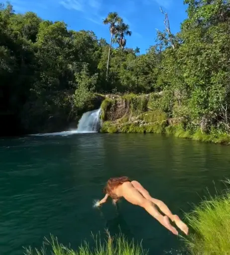 Image 10121609 from Aline Riscado