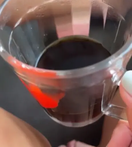 Image 10123518 from Vivi Fernandez