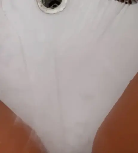 Image 10122759 from Vivi Fernandez