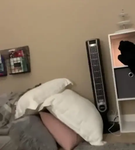 Image 10070706 from Kailee Morgue