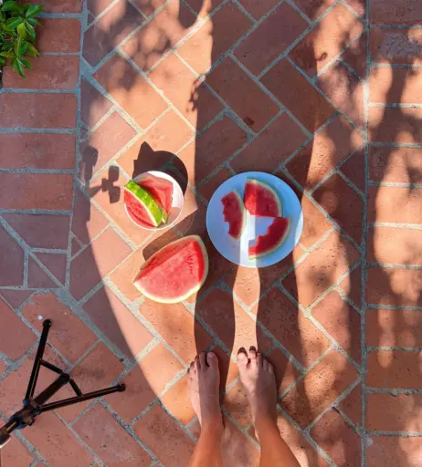 Image 10079460 from Siena Palicke - sienapalicke