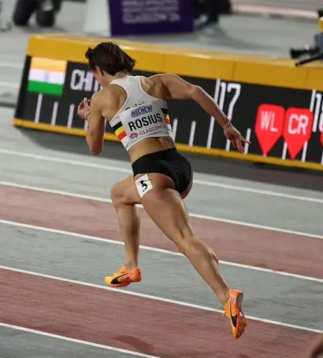 Image 10079631 from Rani Rosius