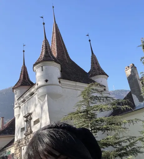 Image 10014347 from epicinternetgf