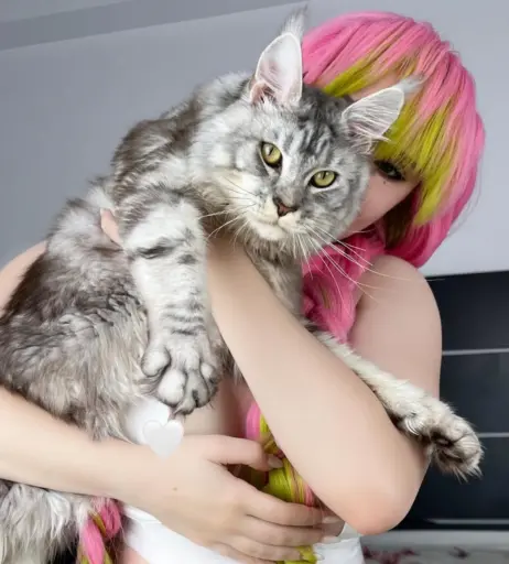 Image 10014280 from epicinternetgf