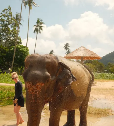 Image 10024131 from Kathryn Newton