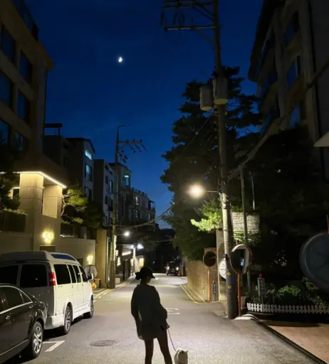 Image 10027415 from Kim Chaewon 김채원 [Le Sserafim]