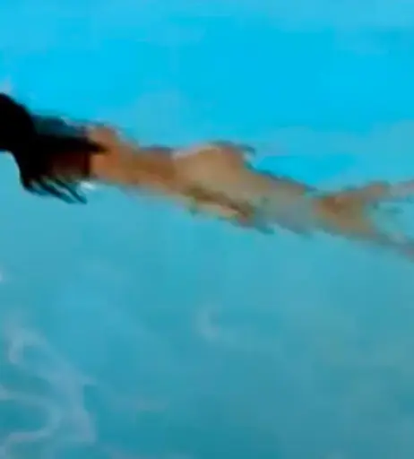 Image 10027224 from Avneet Kaur