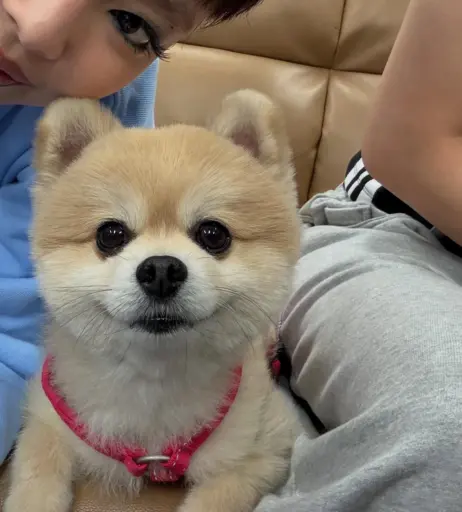 Image 10026125 from Jennie | BLΛƆKPIИK (Blackpink)