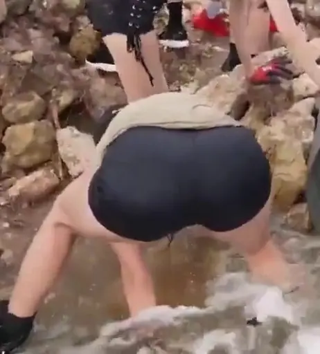 Image 10021912 from Cinnabrit