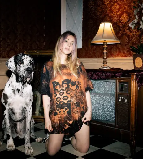 Image 10023841 from Alison Wonderland